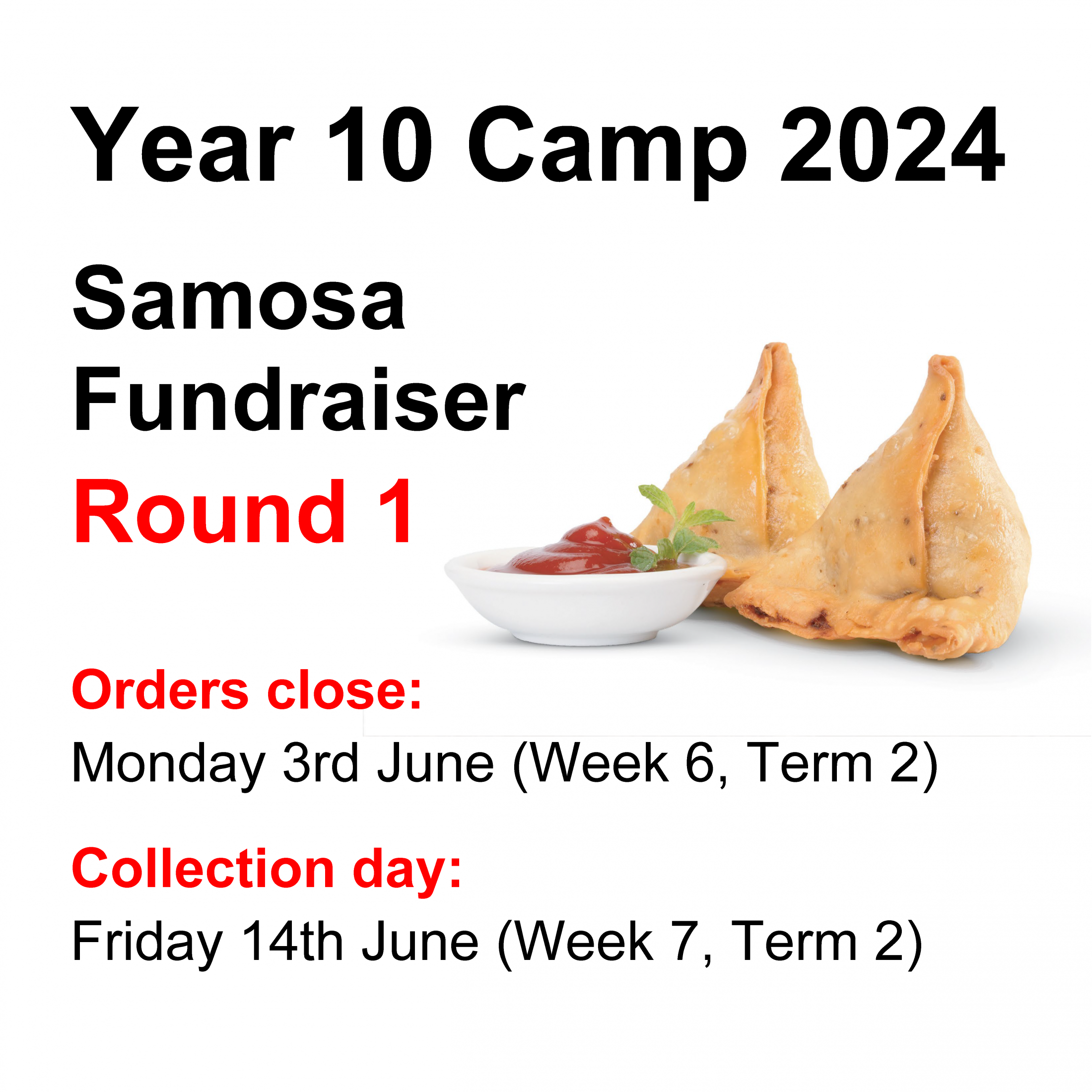 2024 Samosas Fundraiser