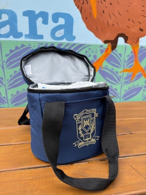 Lunch Cooler Bag